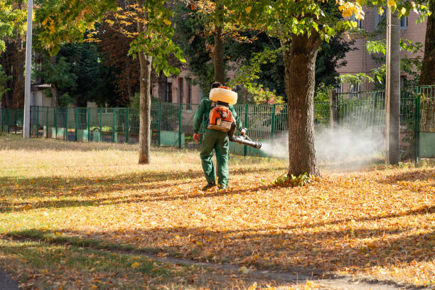 Bird Control in Perryopolis, PA