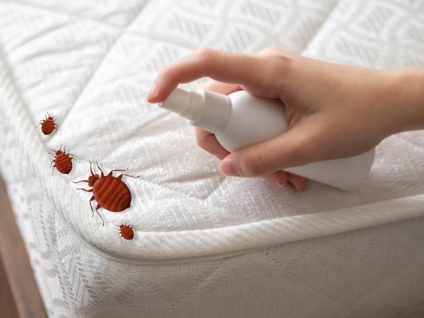 Pest Prevention Services in Perryopolis, PA